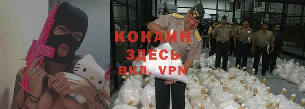 стафф Алзамай