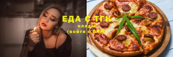 индика Алексин