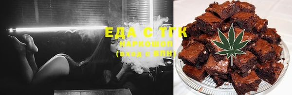 индика Алексин
