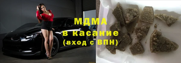 индика Алексин