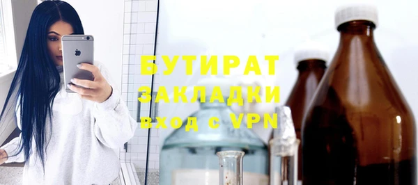 индика Алексин