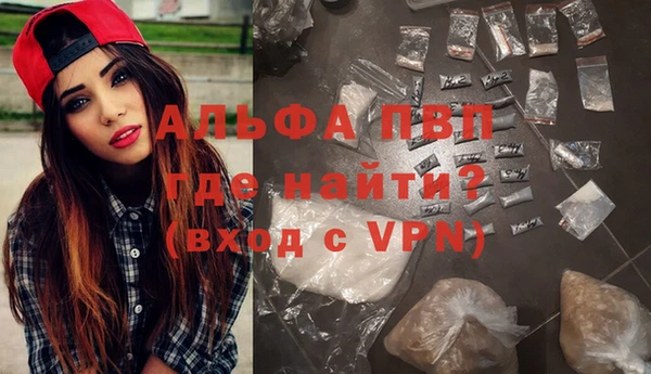 индика Алексин
