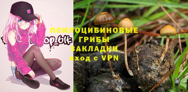 СК Абинск
