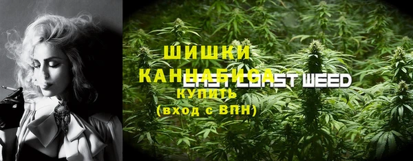 стафф Алзамай