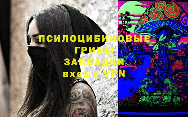 индика Алексин