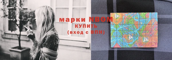 стафф Алзамай