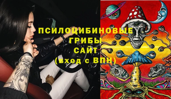 стафф Алзамай