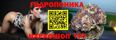 ГАЛЛЮЦИНОГЕННЫЕ ГРИБЫ Славгород